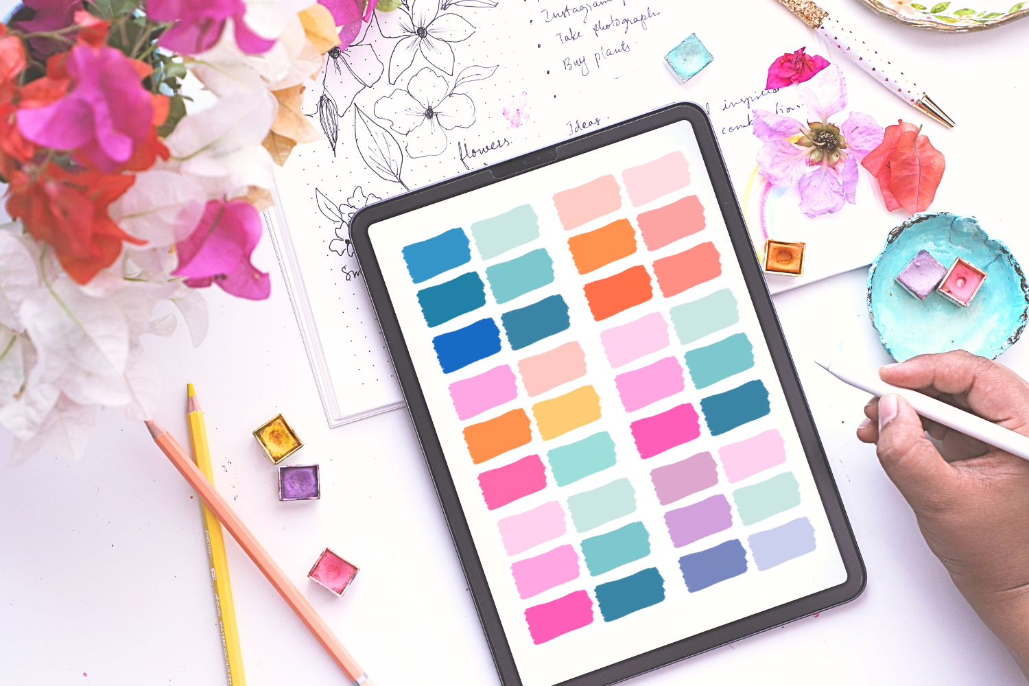 COLOUR PALETTE – Colour And Joy